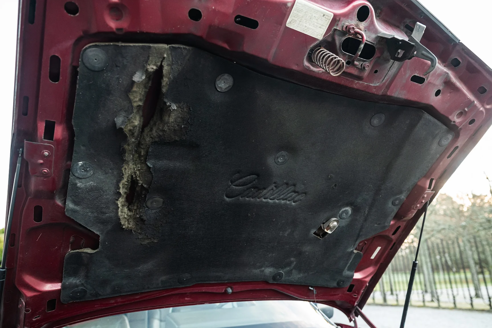 Image of 1989 Cadillac Seville (28) mechanics