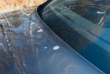 #<Image:0x00007fd2173d67d8>