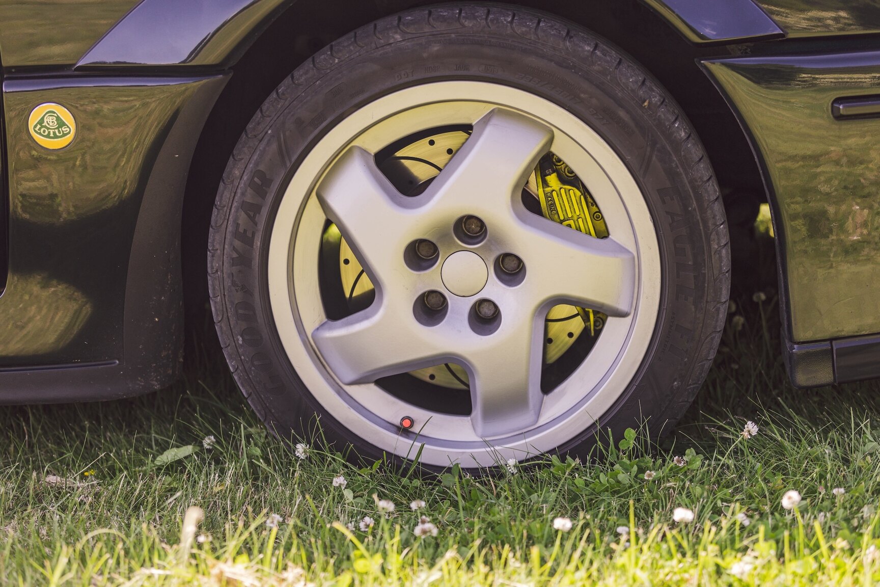 Exterior image of 1991 Lotus Omega