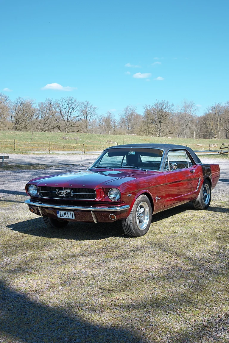 Aussenfoto 1965 Ford Mustang HT 289cui (4)