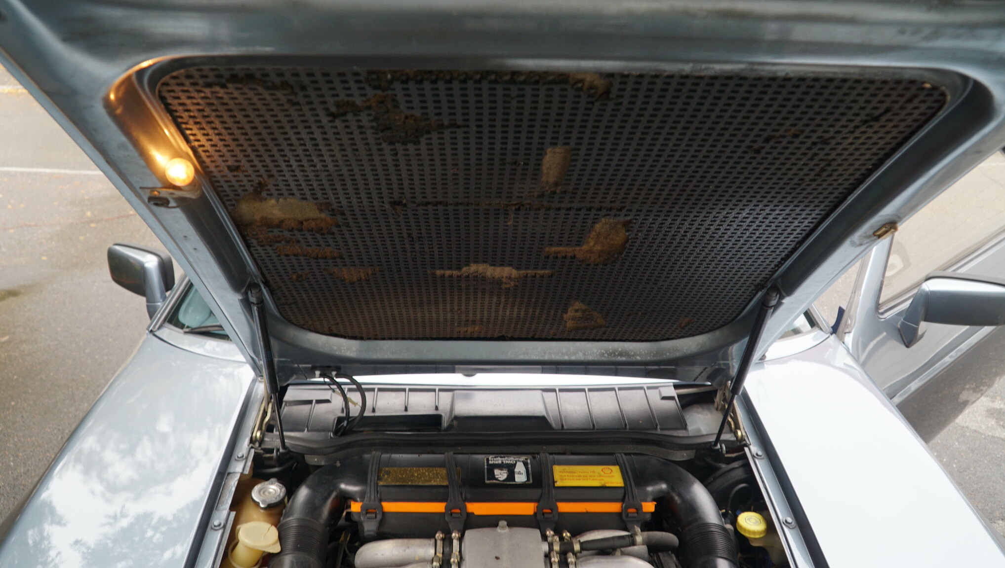 Image of 1983 Porsche 928S (1) mechanics