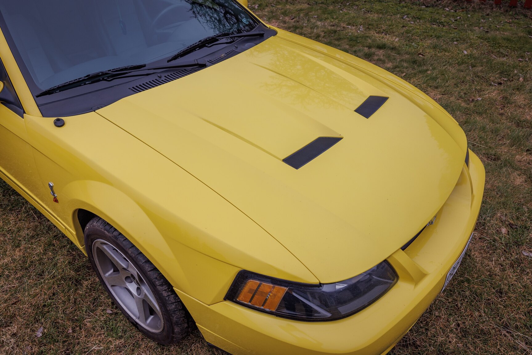 Exterior image of 2003 Ford Mustang SVT Cobra