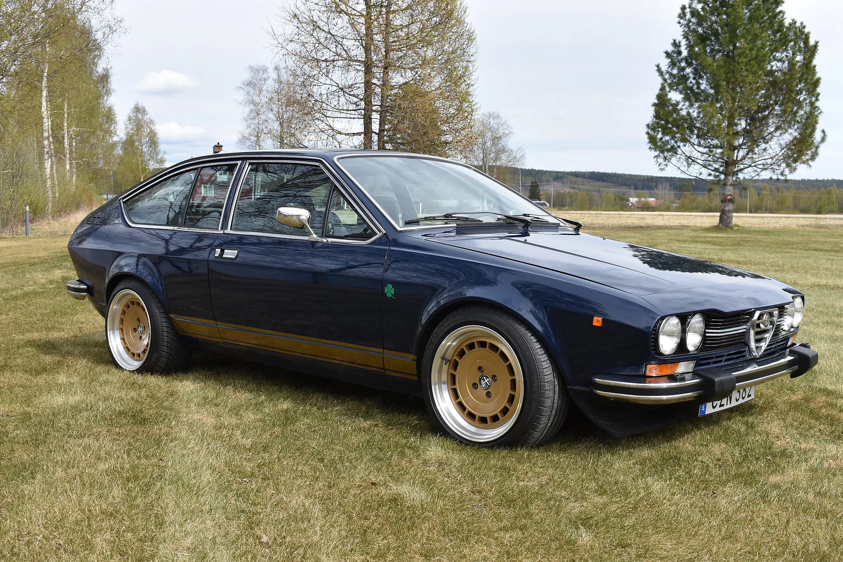 Exterior image of 1981 Alfa Romeo Alfetta GTV (2)
