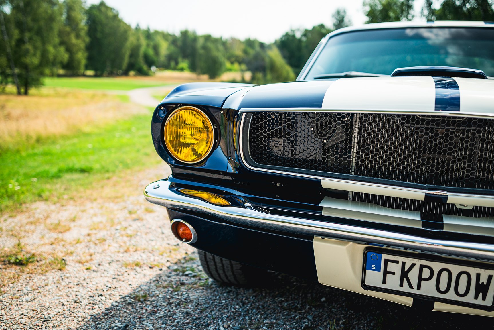 Exterior image of 1965 Ford Mustang Fastback