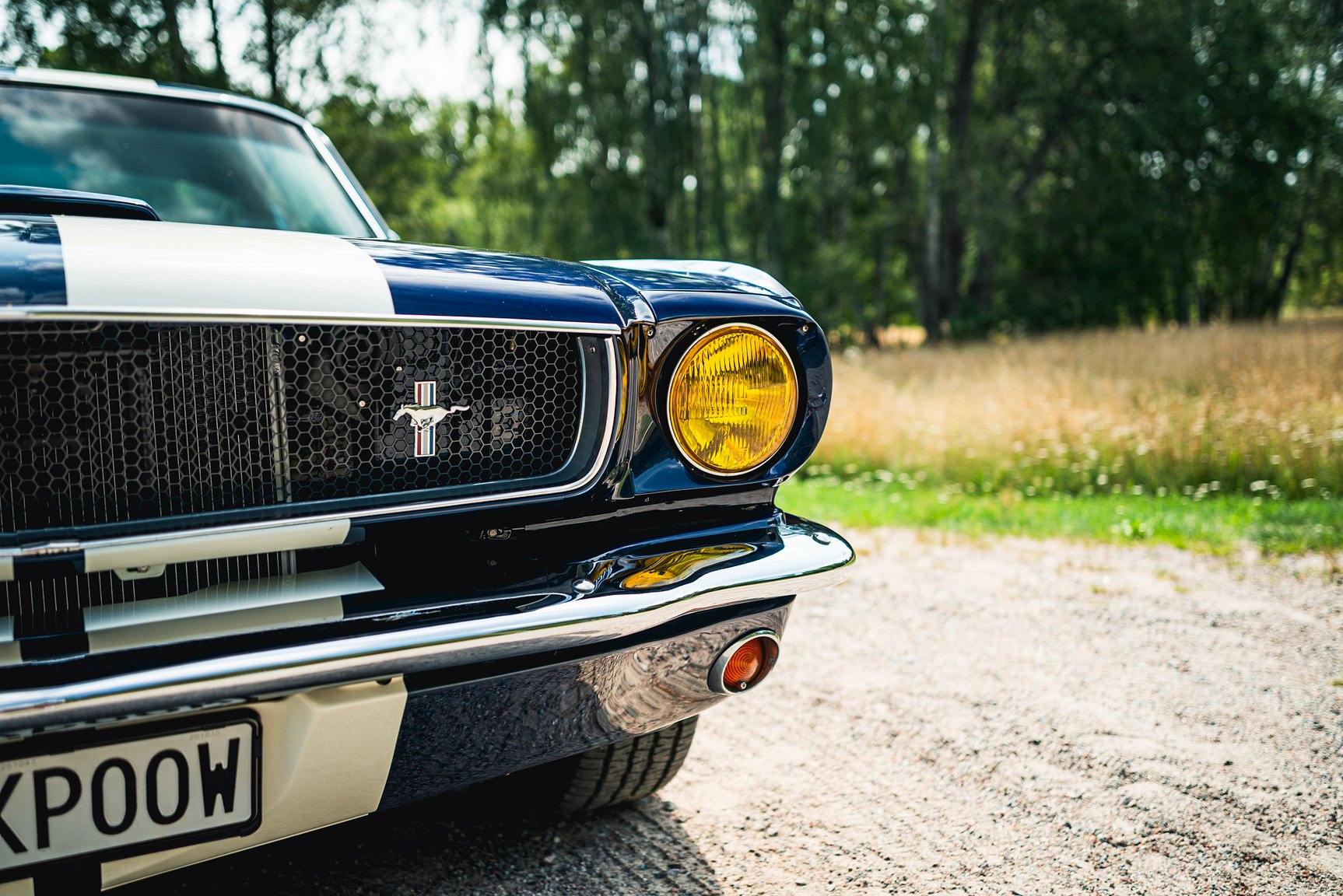 Exterior image of 1965 Ford Mustang Fastback
