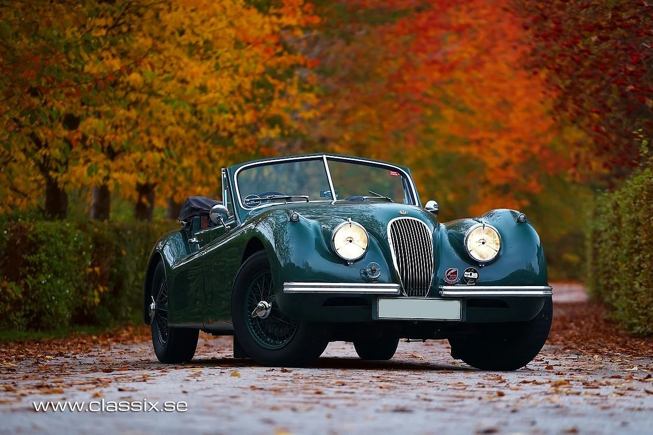 Bild von 1954 Jaguar XK120 (13)