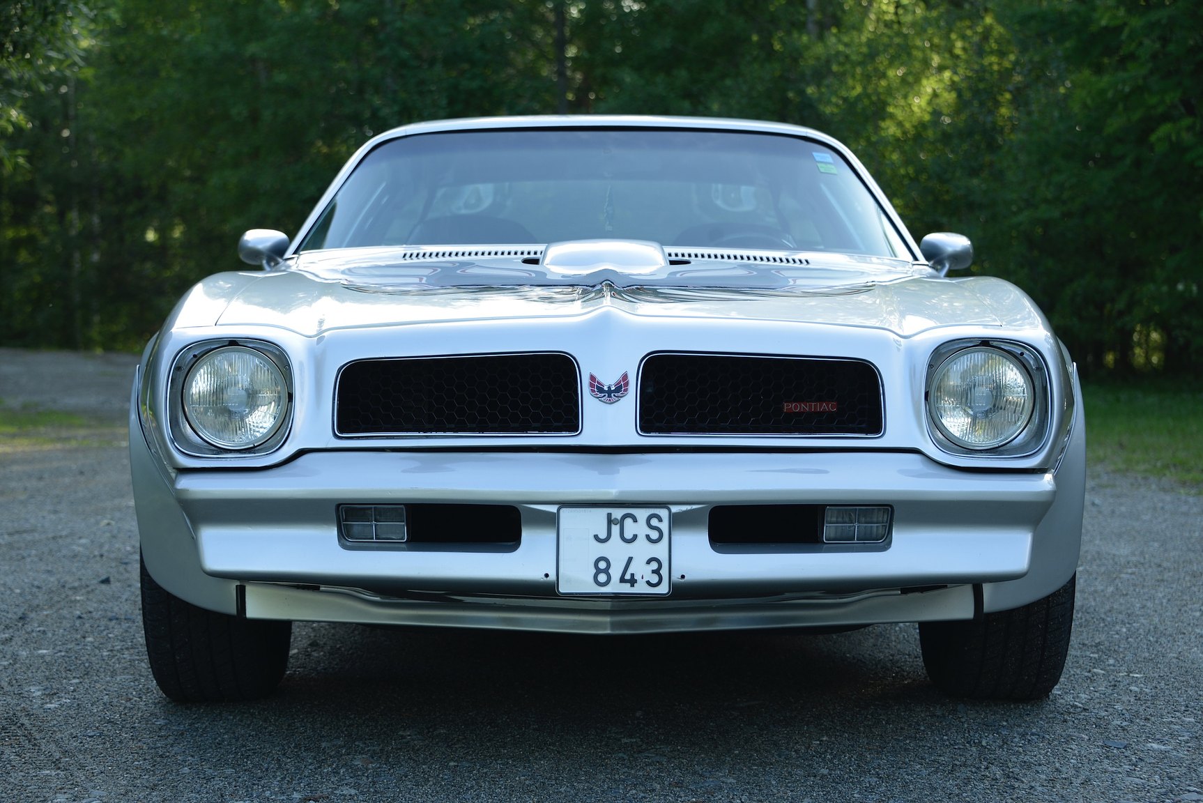 Exteriörbild på 1976 Pontiac Firebird Trans Am