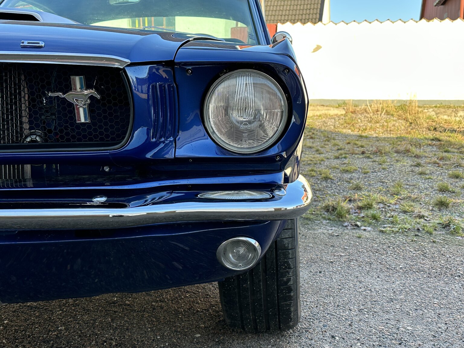 Aussenfoto 1965 Ford Mustang Fastback 351W (16)