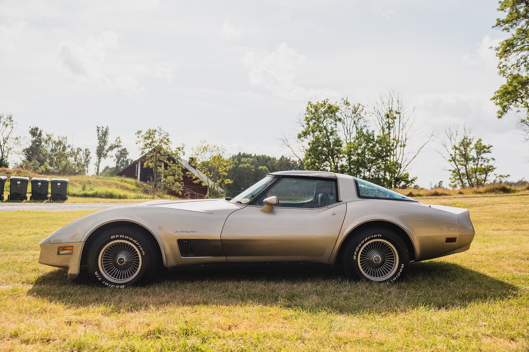 Exterior image of 1982 Chevrolet Corvette Collector Edition