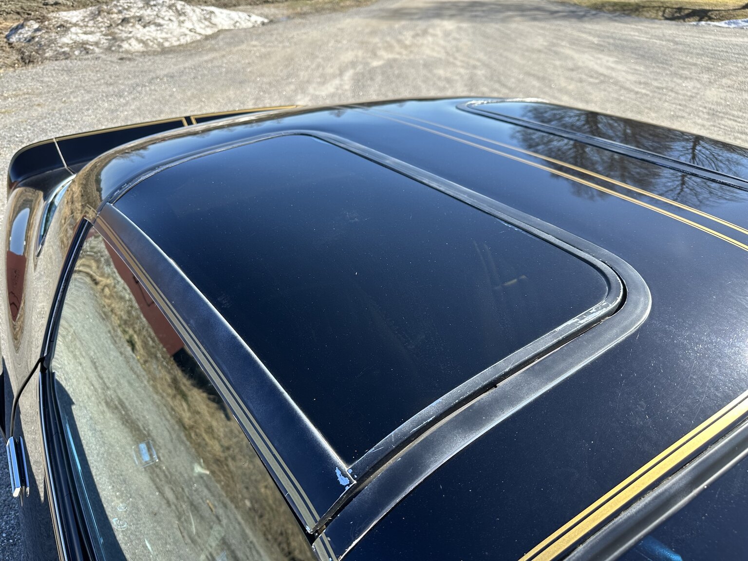 Exterior image of 1978 Pontiac Trans Am Bandit 400