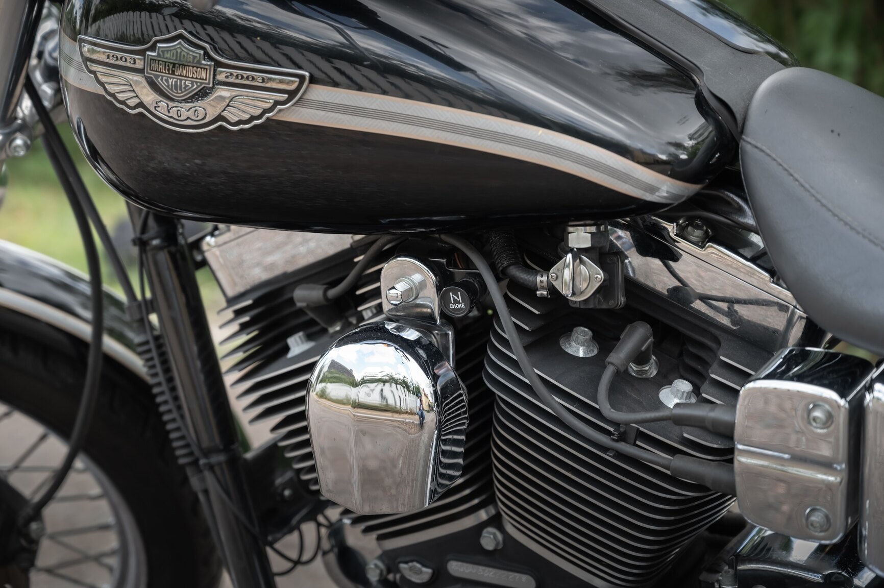 Image of 2003 Harley-Davidson FXDL 100th Anniversary mechanics