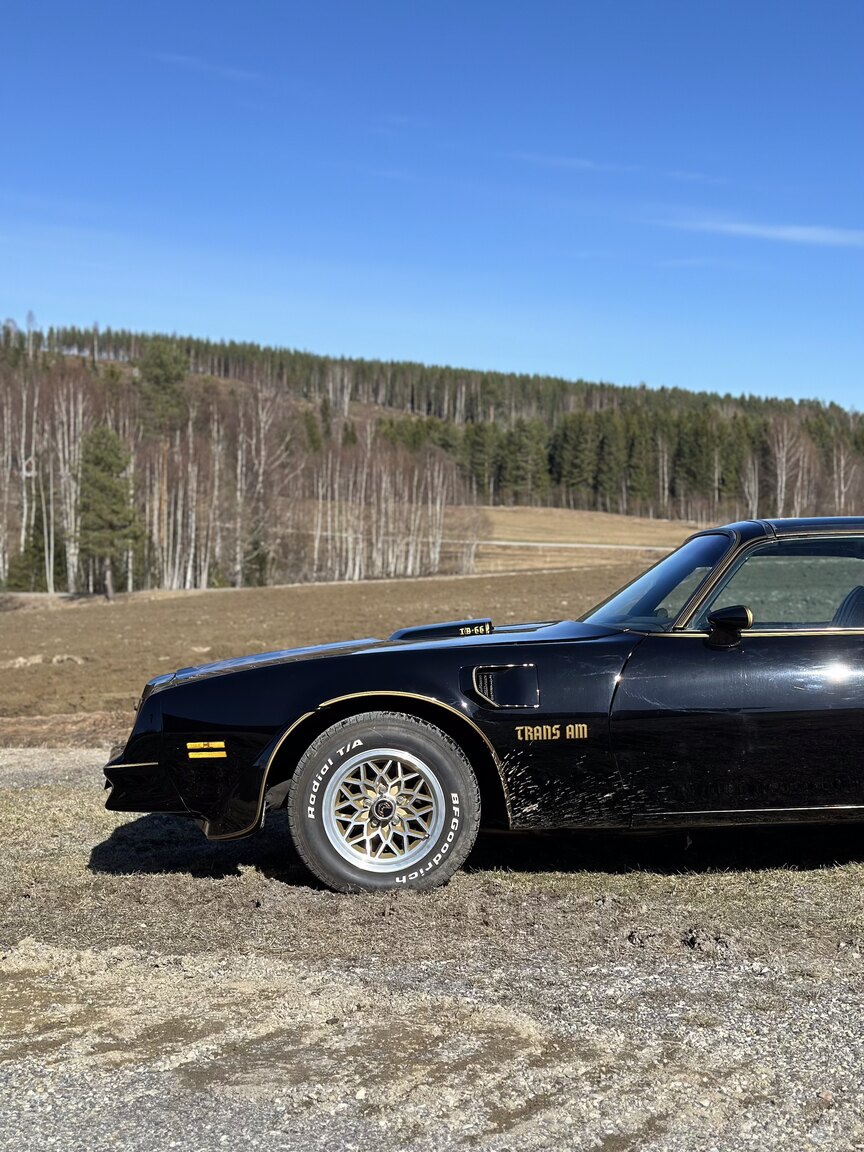 Exteriörbild på 1978 Pontiac Trans Am Bandit 400