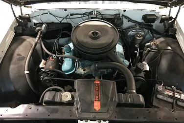 #<Image:0x00007f2ff25a9ed8>