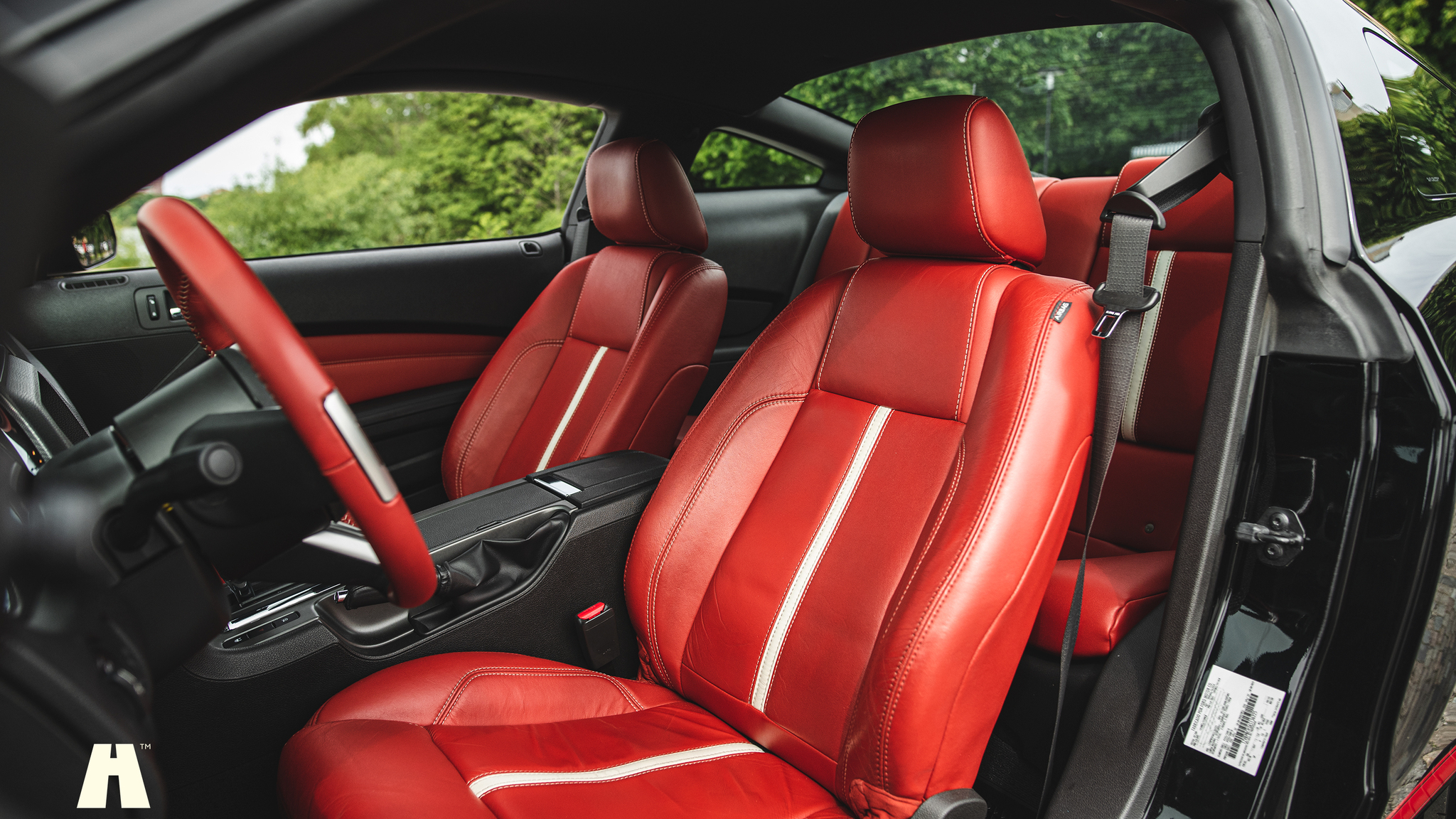 Interior image of 2010 Ford Mustang GT 