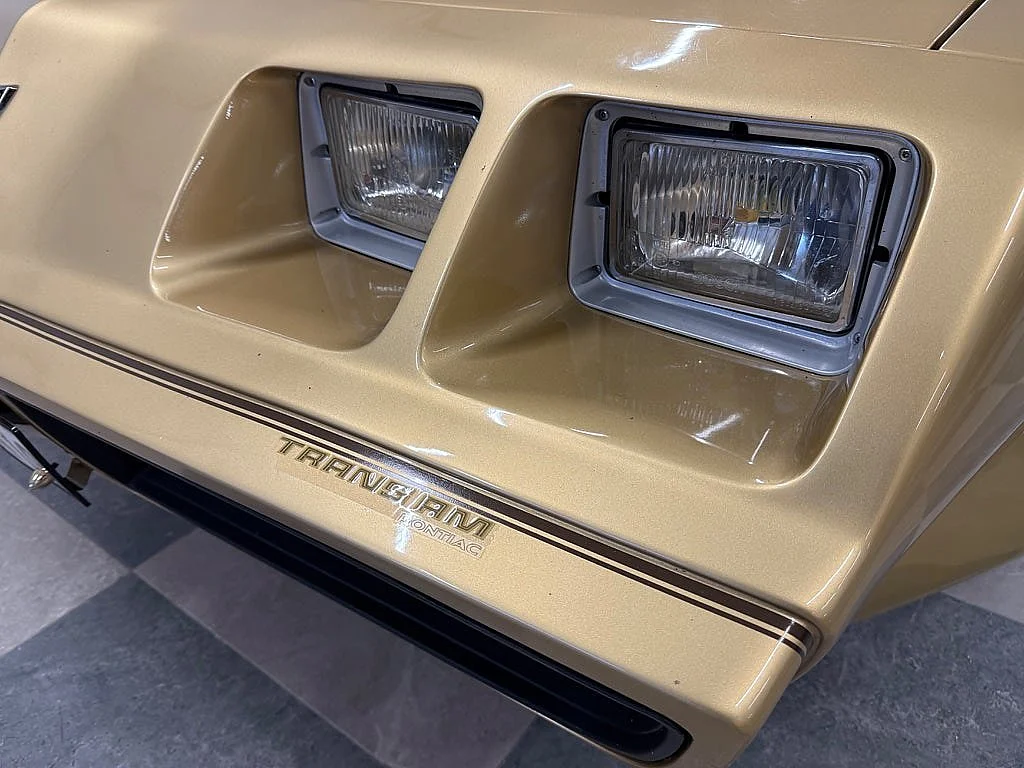 Bild von 1979 Pontiac Firebird (21)