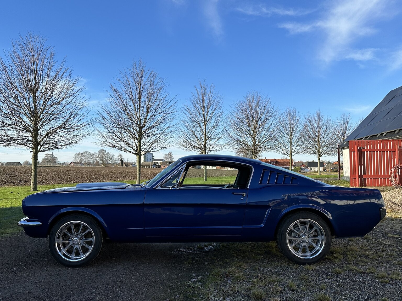 Aussenfoto 1965 Ford Mustang Fastback 351W (6)