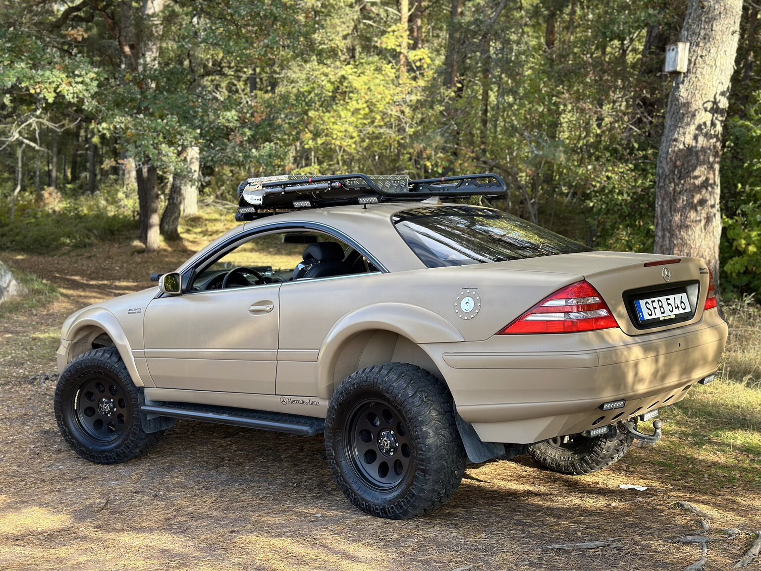 Exterior image of 2001 Mercedes-Benz CL600/ML 55 AMG
