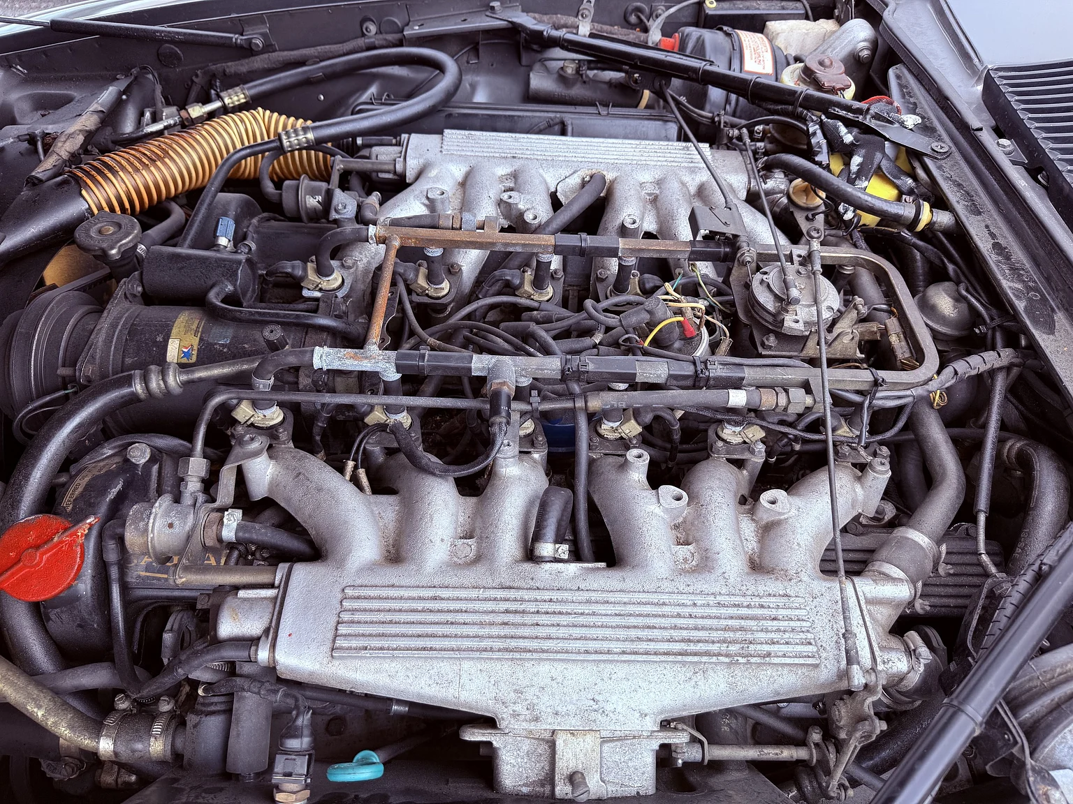 Image of 1985 Jaguar XJS HE mechanics (3)