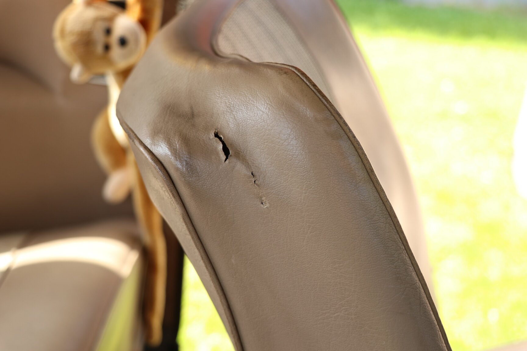 Interior image of 1961 Volvo PV 544C (38)