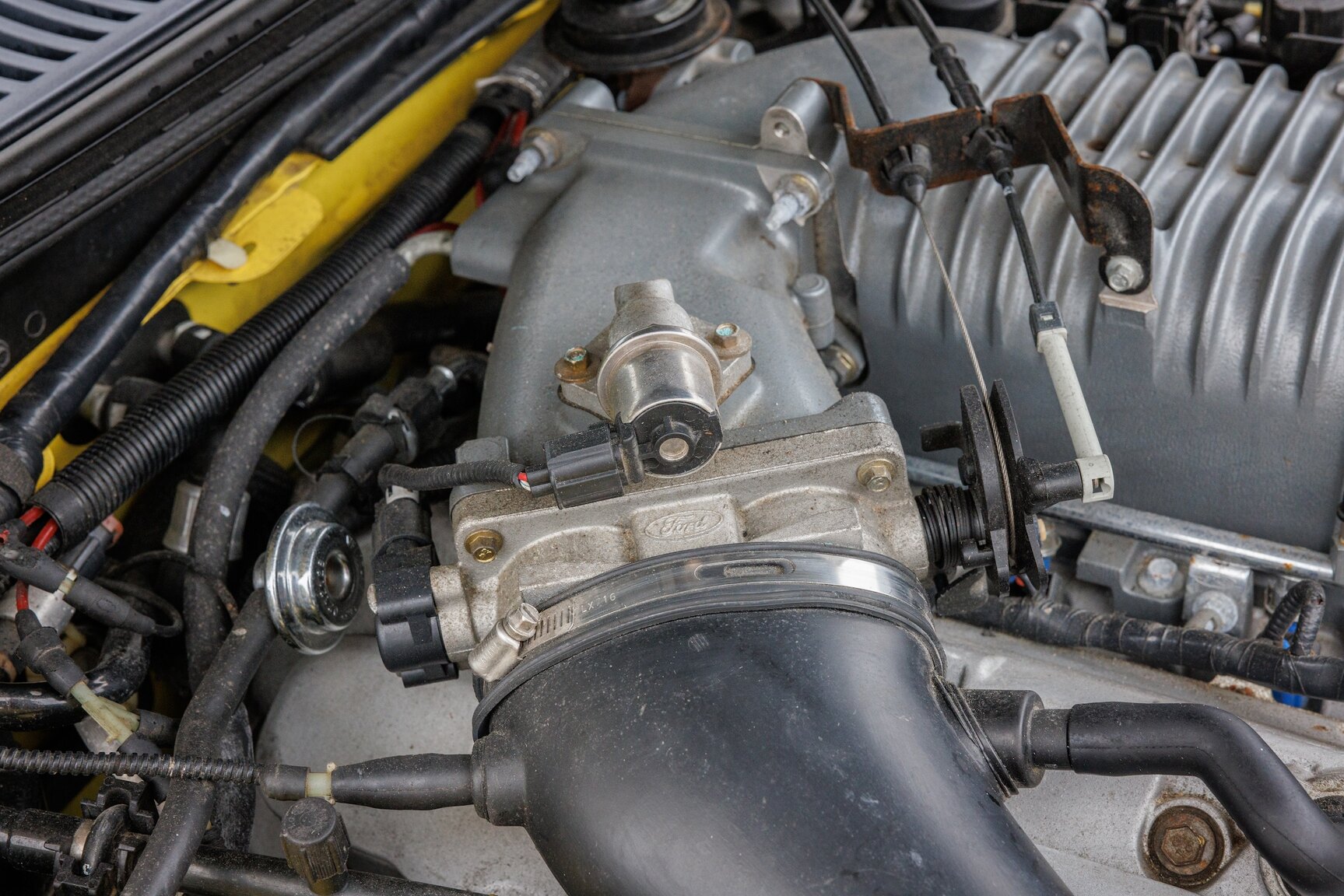 Image of 2003 Ford Mustang SVT Cobra mechanics