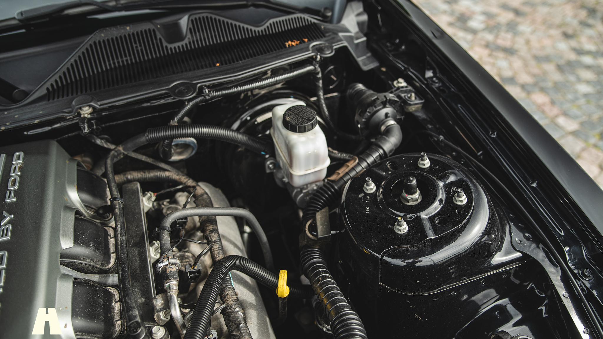 Image of 2010 Ford Mustang GT  mechanics