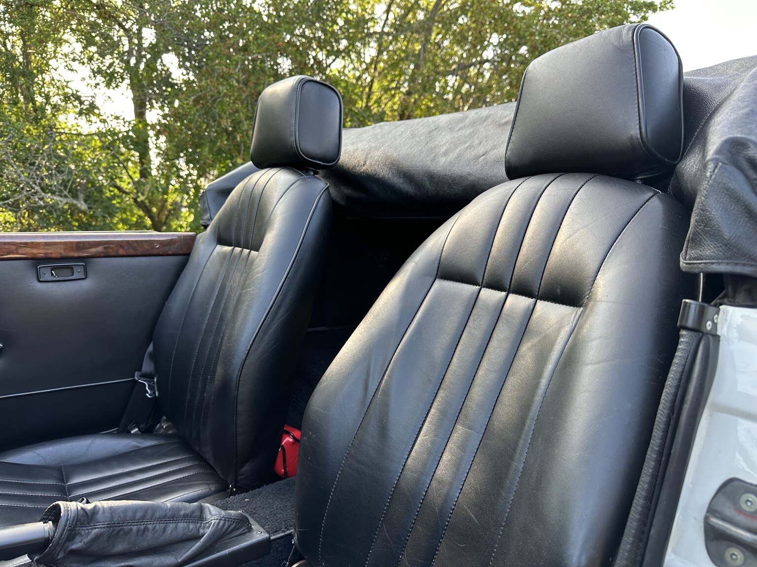 Interior image of 1988 Panther Kallista
