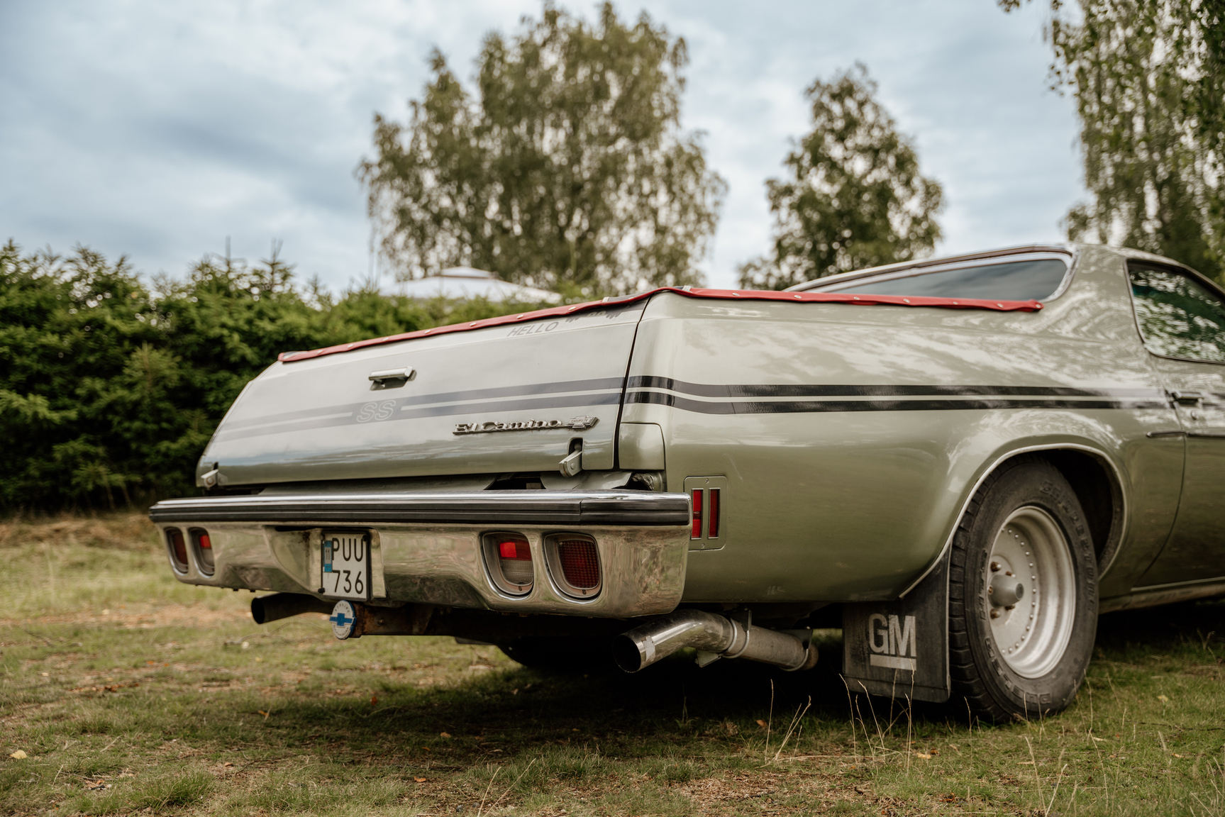 Exterior image of 1973 Chevrolet El Camino SS 454 (37)