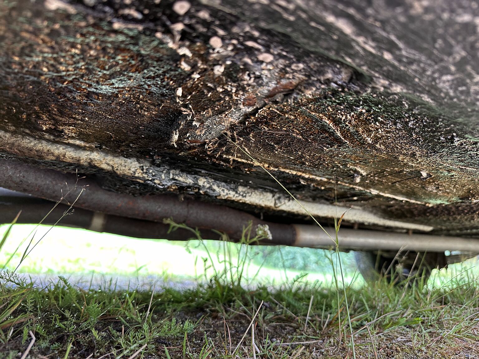 Image of 1965 Ford Thunderbird Hardtop 6.4 mechanics (17)
