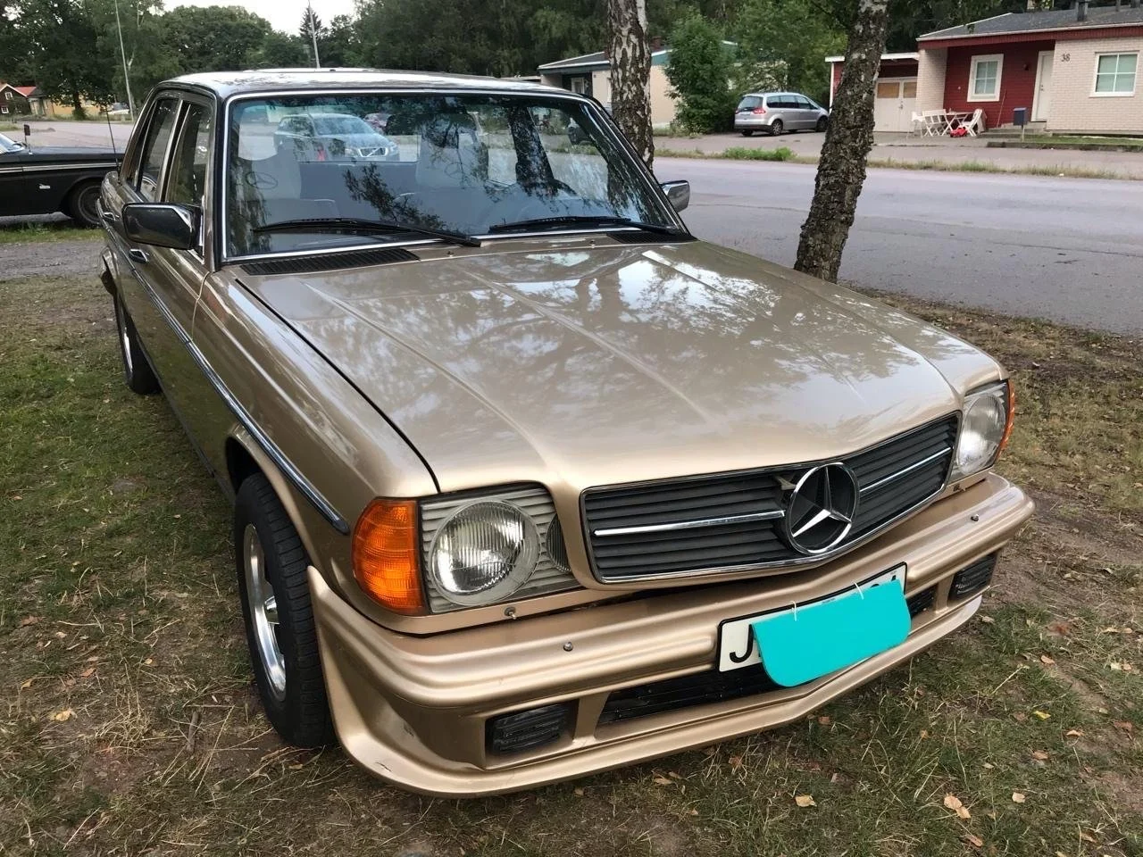 1976 Mercedes-Benz 300 D (1), Övrigt