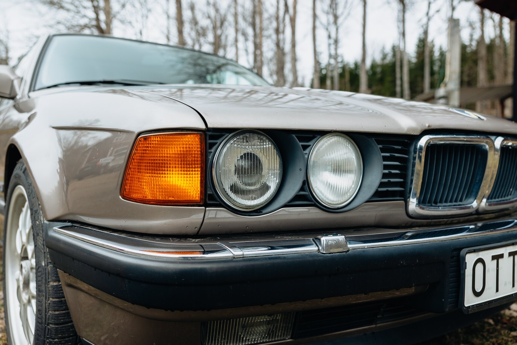 Exteriörbild på 1990 BMW 750iL (18)