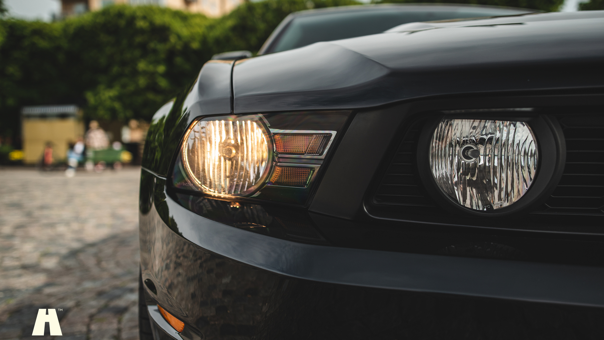 Exterior image of 2010 Ford Mustang GT 