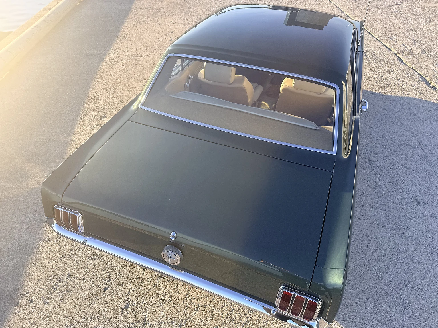 Exteriörbild på 1966 Ford Mustang HT - Protouring / Supercharged (14)