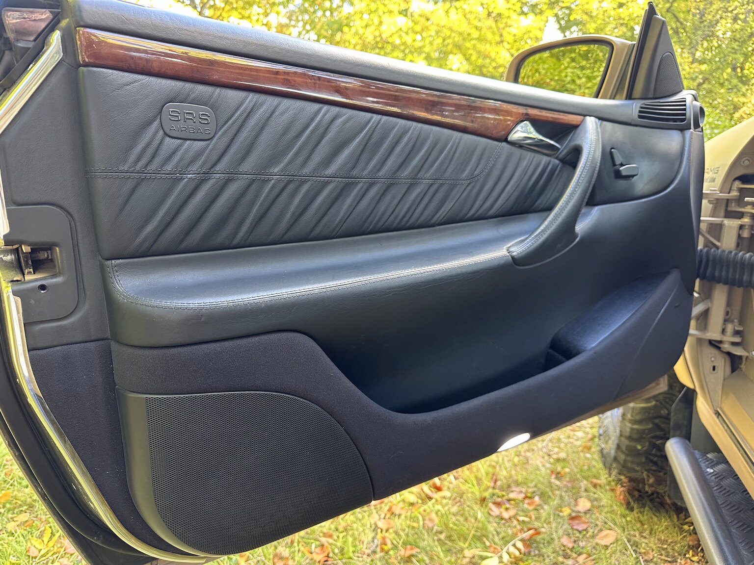 Interior image of 2001 Mercedes-Benz CL600/ML 55 AMG