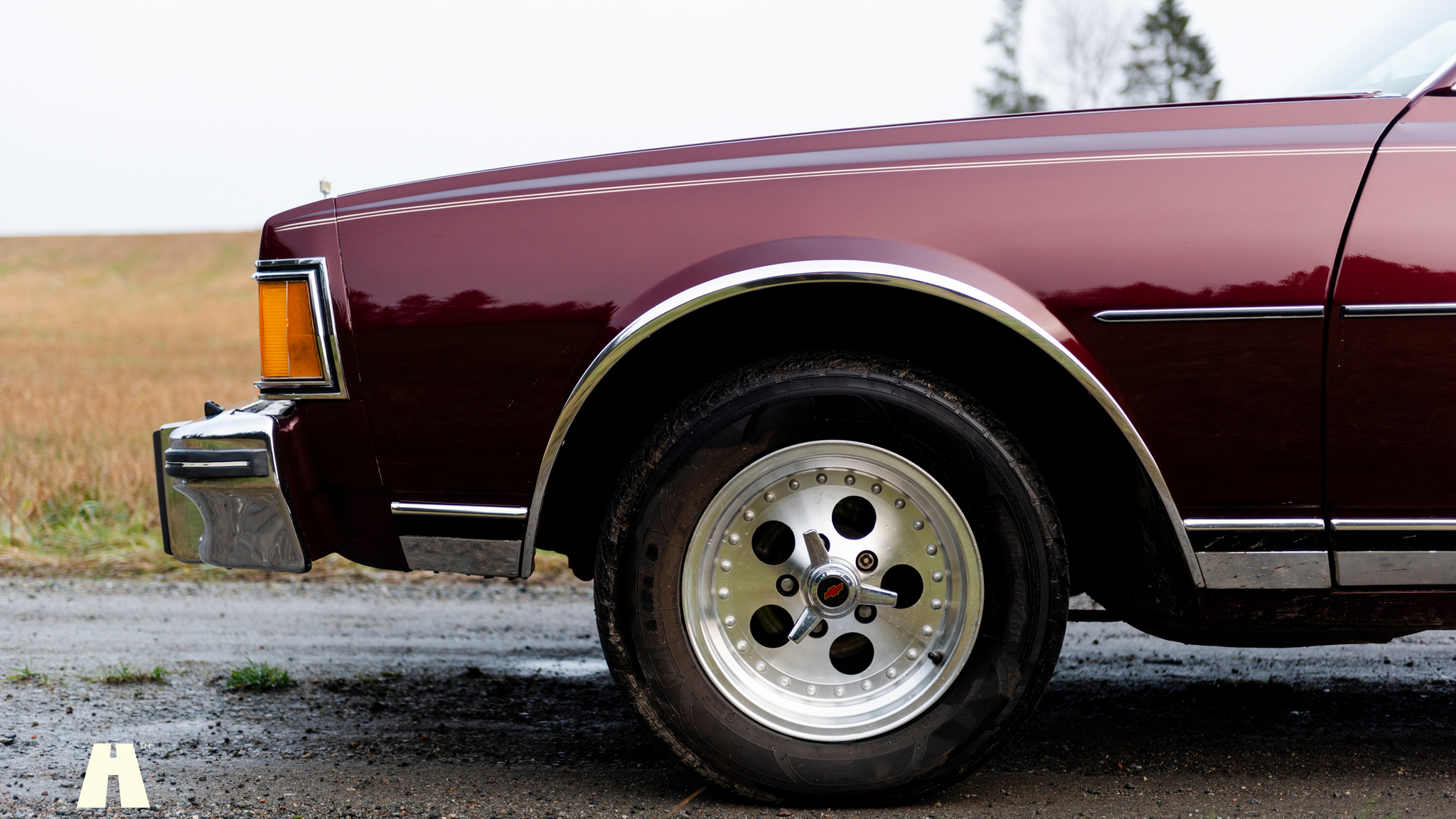 Aussenfoto 1977 Chevrolet Caprice Classic