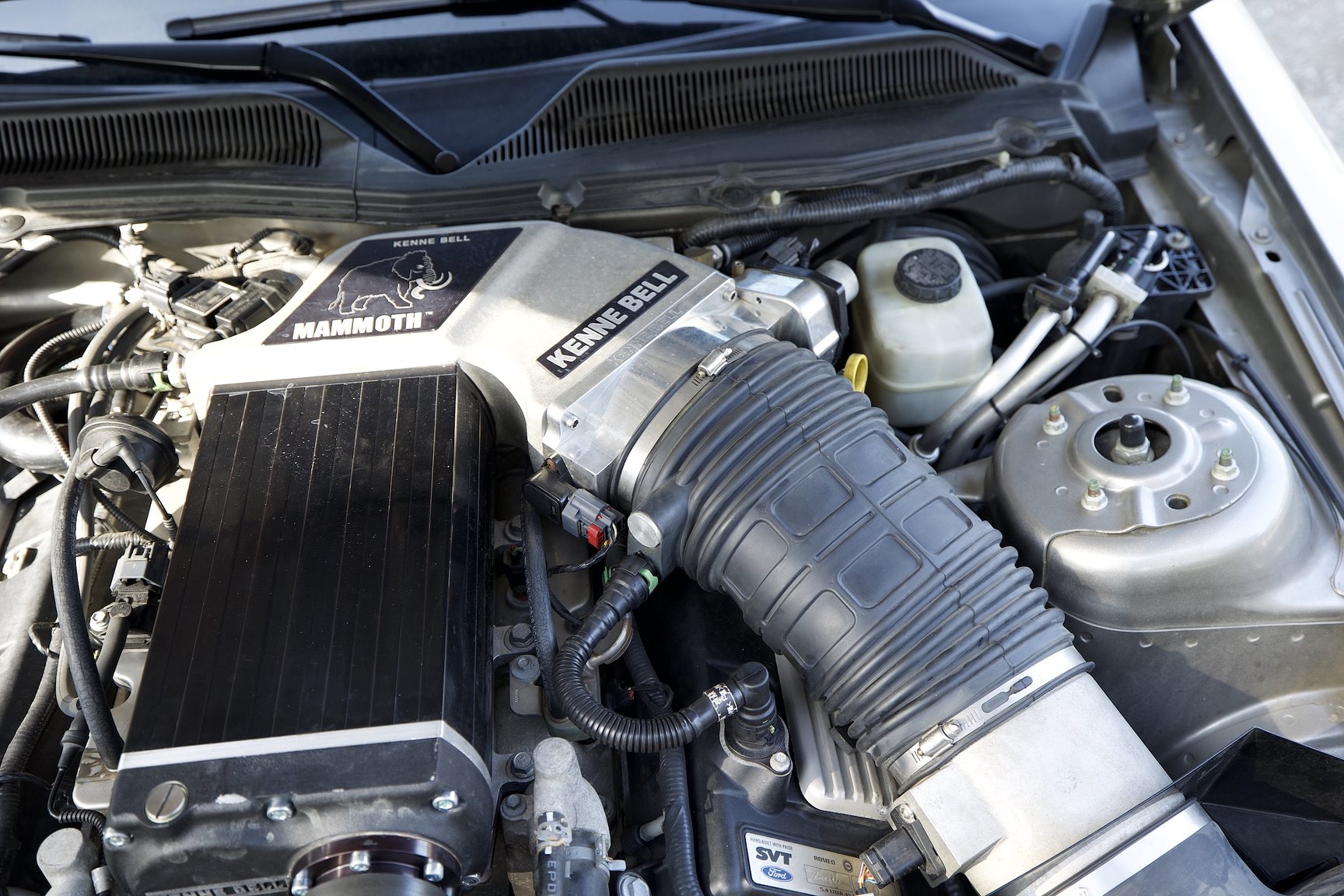 Image of 2008 Ford Mustang Shelby GT500 Convertible Manuell mechanics