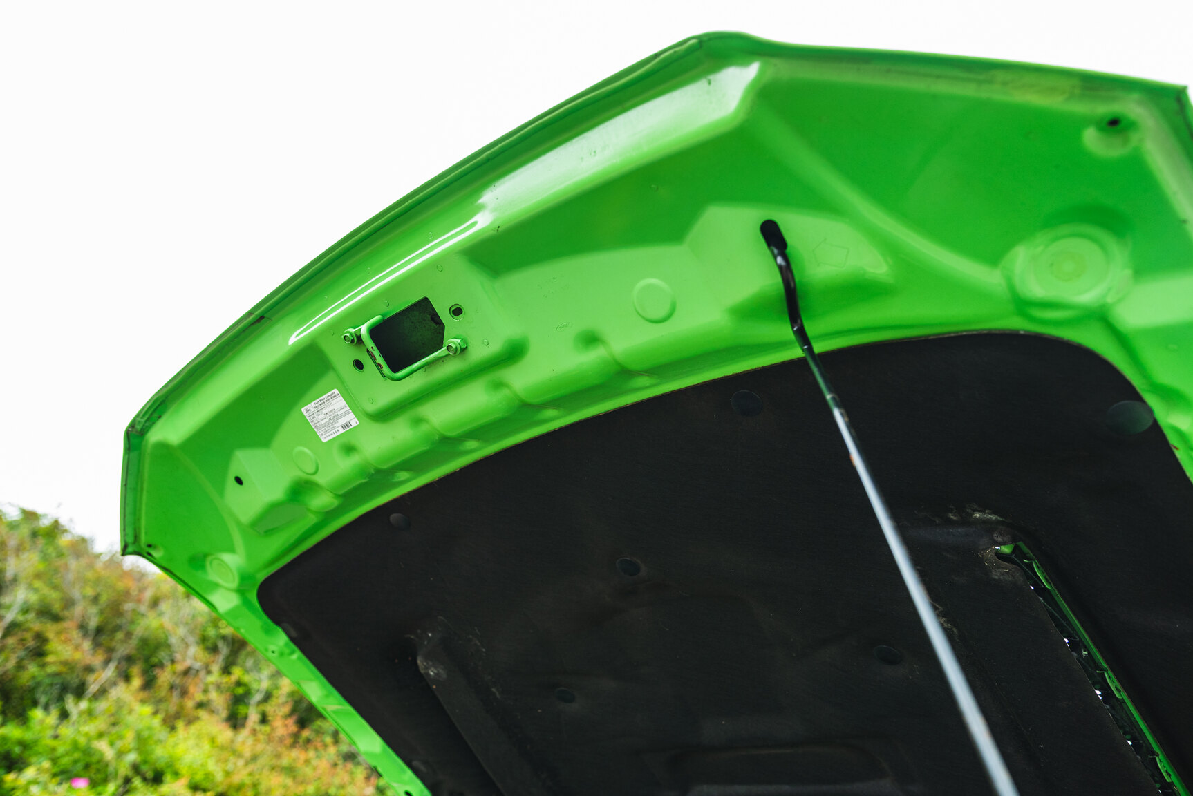 Image of 2013 Ford Mustang Boss 302 mechanics