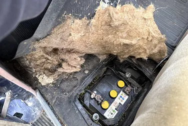 #<Image:0x00007fe425bf44e0>