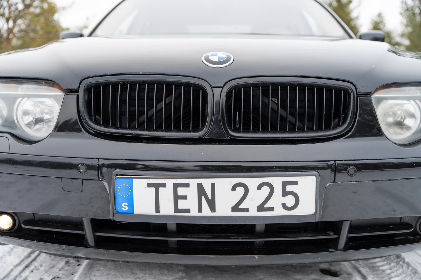 Exterior image of 2002 BMW  745 iA (35)