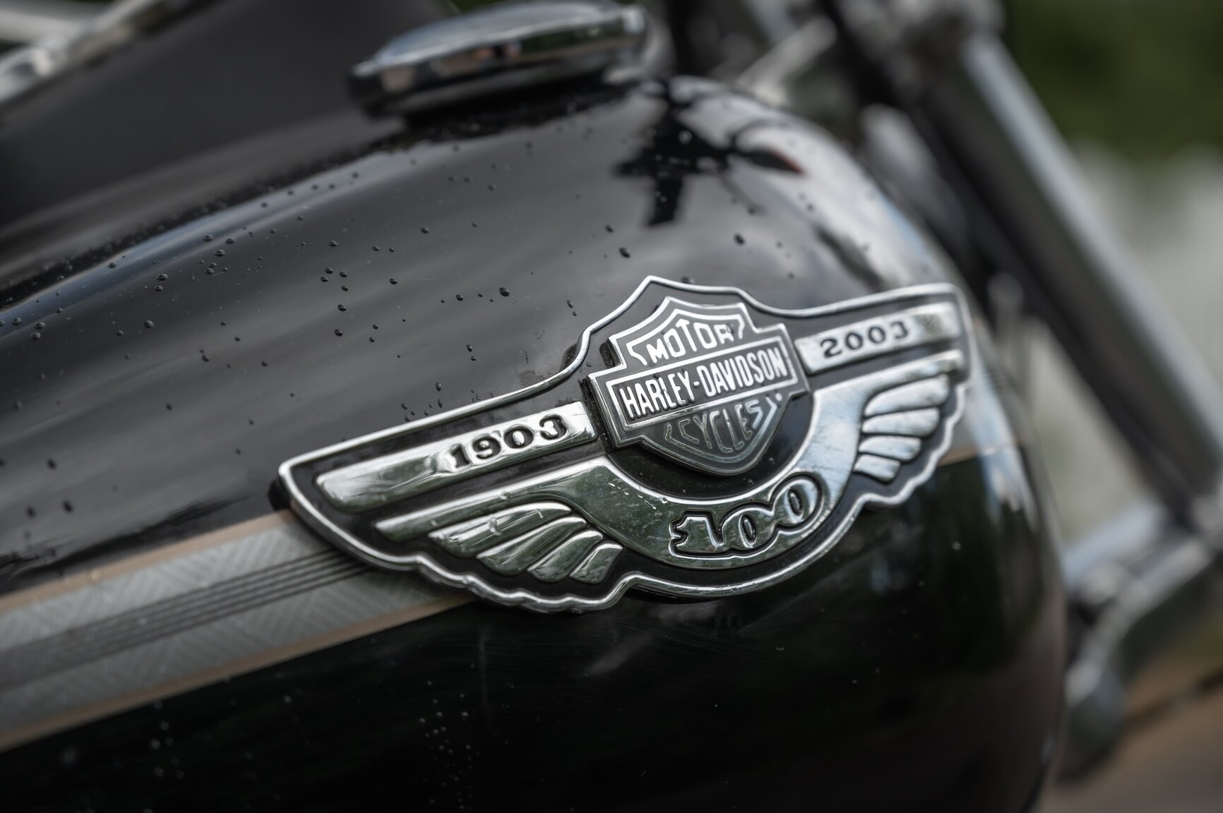 Exteriörbild på 2003 Harley-Davidson FXDL 100th Anniversary