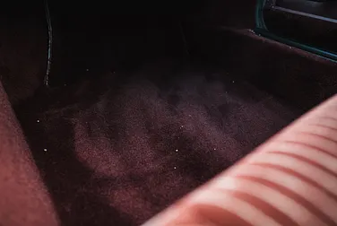 #<Image:0x00007f3ff3d2f520>