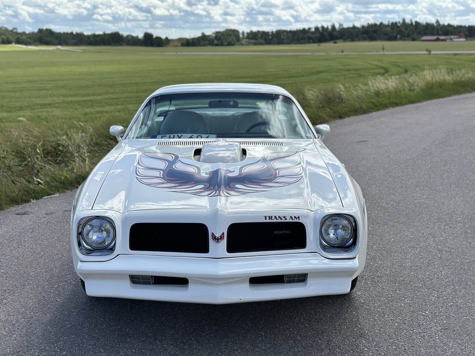 Exteriörbild på 1976 Pontiac Firebird Trans Am