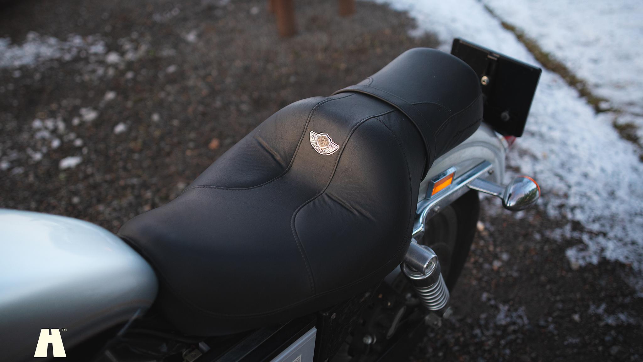 Exterior image of 2003 Harley Davidson Sportster 1200C 100th Anniversary Edition