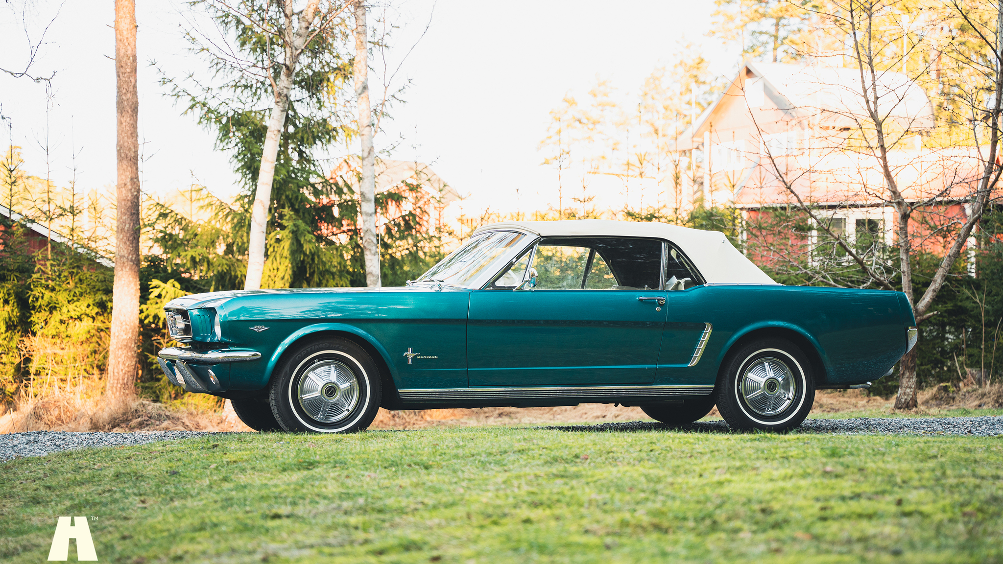 Exterior image of 1965 Ford Mustang Cabriolet (13)