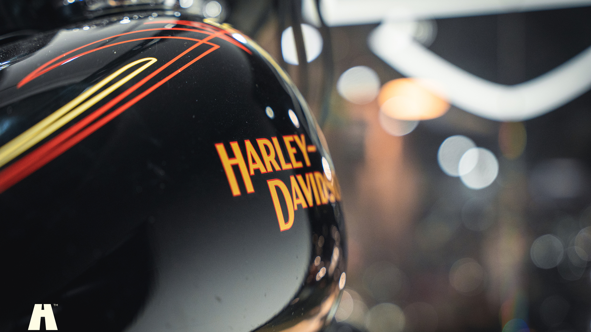 Aussenfoto 2008 Harley-Davidson Cross Bones Twin Cam (45)